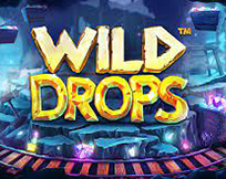 Wild Drops